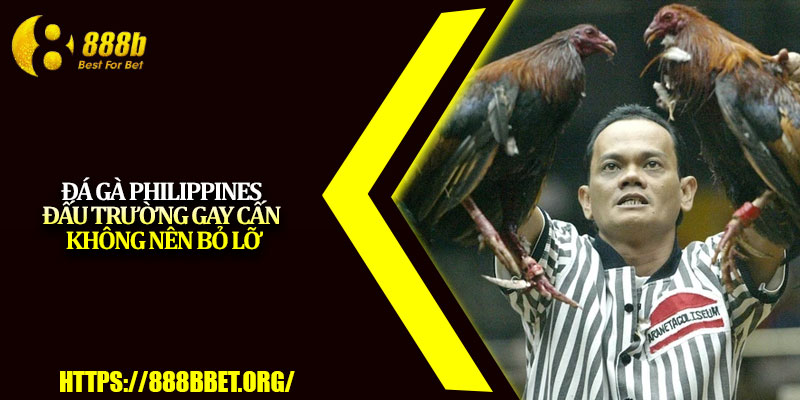 Đá Gà Philippines – Đấu Trường Gay Cấn Không Nên Bỏ Lỡ 1 Da Ga Philippines – Dau Truong Gay Can Khong Nen Bo Lo