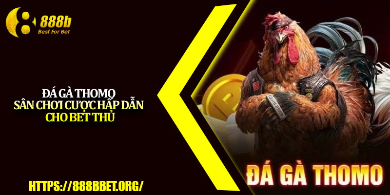 Đá Gà Thomo – Sân Chơi Cược Hấp Dẫn Cho Bet Thủ 1 Da Ga Thomo – San Choi Cuoc Hap Dan Cho Bet Thu