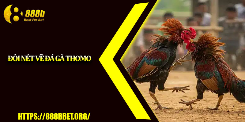 Đá Gà Thomo – Sân Chơi Cược Hấp Dẫn Cho Bet Thủ 2 Doi net ve da ga Thomo