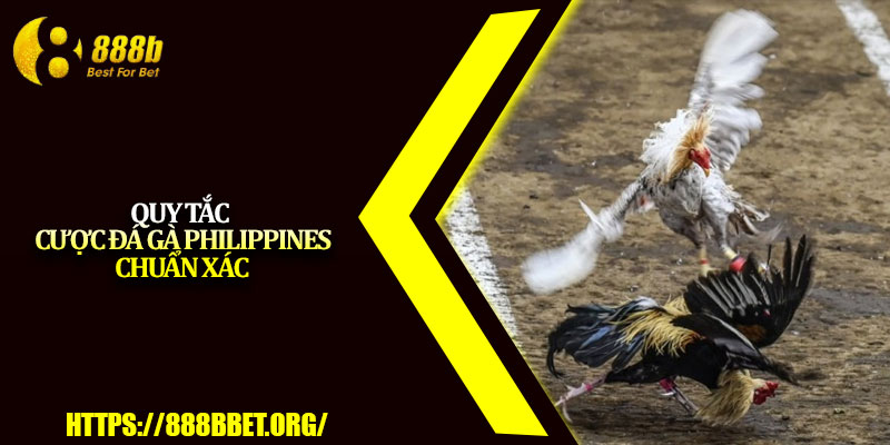 Đá Gà Philippines – Đấu Trường Gay Cấn Không Nên Bỏ Lỡ 4 Quy tắc cược đá gà Philippines chuẩn xác
