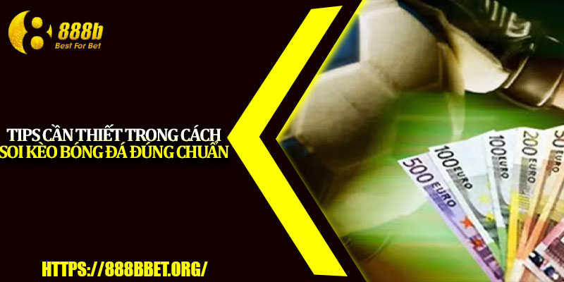 Cách Soi Kèo Bóng Đá – Hướng Dẫn Chơi Chuẩn Từng Bước 4 Tips cần thiết trong cách soi kèo bóng đá đúng chuẩn