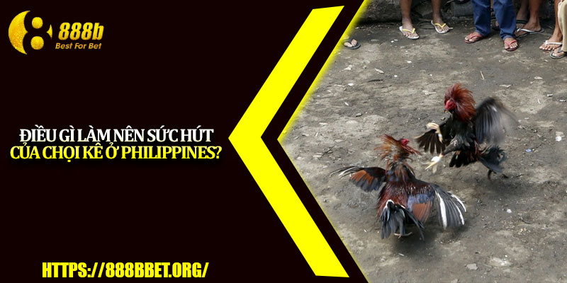 Đá Gà Philippines – Đấu Trường Gay Cấn Không Nên Bỏ Lỡ 3 Điều gì làm nên sức hút của chọi kê ở Philippines?